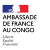 Logo Ambassade de France au Congo